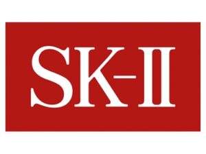 customer skii
