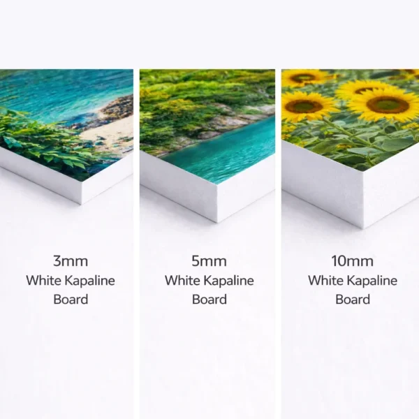 form board signs close up view