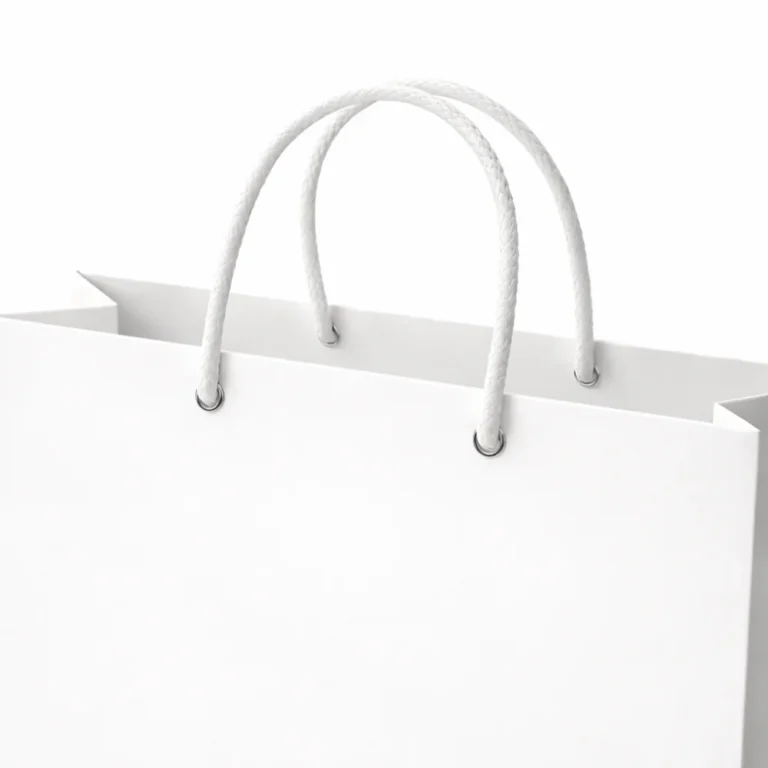 paper bags cotton rope handle close up view