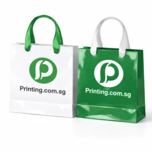 ribbon handles paper bags